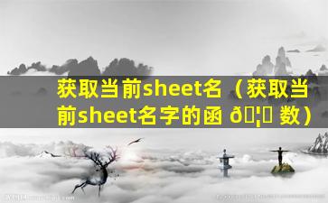 获取当前sheet名（获取当前sheet名字的函 🦋 数）